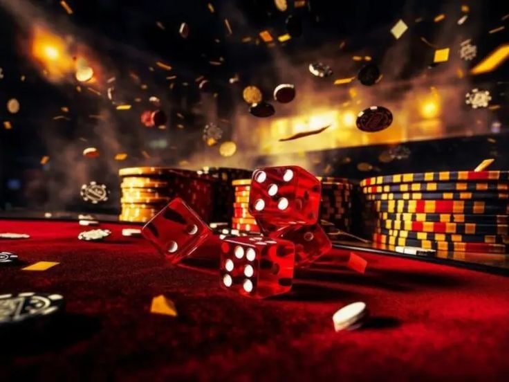 betdog
