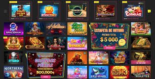 betdog