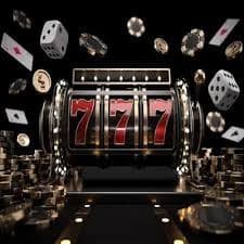 betdog