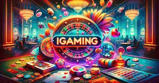 betdog