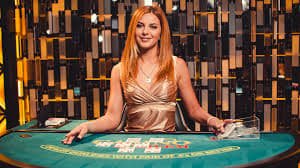 betdog