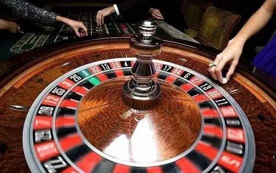 betdog