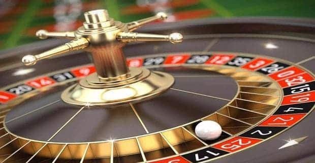 betdog
