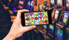betdog