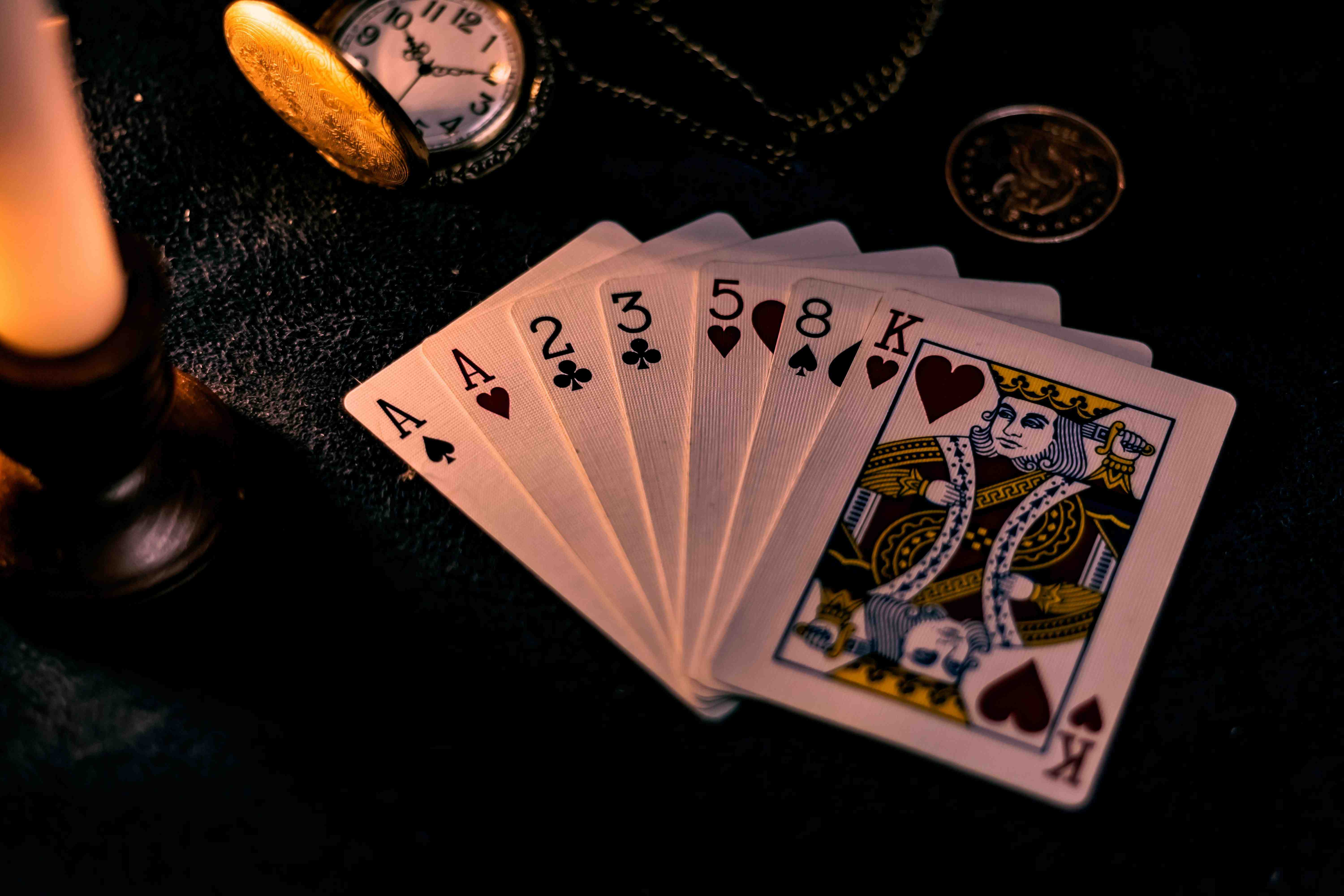 betdog