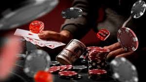 betdog