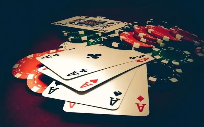 betdog